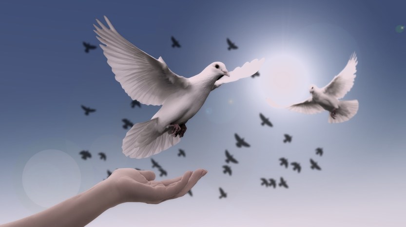 praying doves